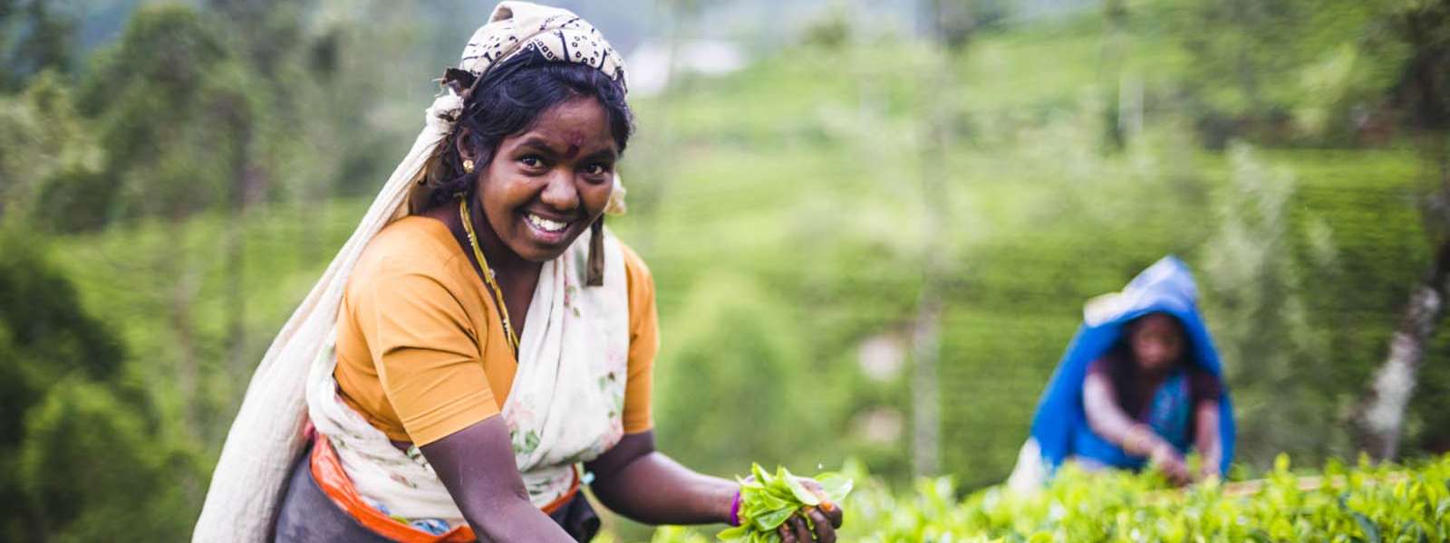 தோட்டத் தொழிலாளர்களின் சம்பள ஒப்பந்தம் கைச்சாத்து